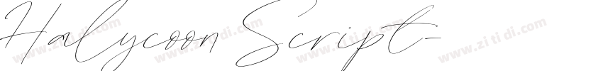 Halycoon Script字体转换